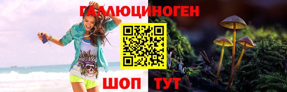Псилоцибиновые грибы мицелий Кулебаки